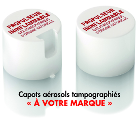 galvanisant a froid 10 m2 par aerosol possedant des caracteristiques anticorrosion exceptionnelles. resultats des tests au brouillard salin prouves et certifies. tenue mecanique exceptionnelle du film. manipulable apres 4 minutes. soudable. peintable, tenue jusqu'a +550°C. aerosol galvanisant brillant, galvanisant, galvanisant a froid, aerosol galvanisant a froid, bombe galvanisant, bombe galvanisant a froid, galvanisant zinc, peinture zinc, peinture pour galvanisation, galvanisation à froid, protection anti corrosion, anti corrosion, galvanisant riche en zinc, peinture galva, aerosol galvanisant zinc, galvanisant anti corrosion. Fabricants aerosols galvanisant. Fabricants aerosols galvanisation a froid. Fournisseurs galvanisant a froid. Fournisseurs galvanisation a froid. 